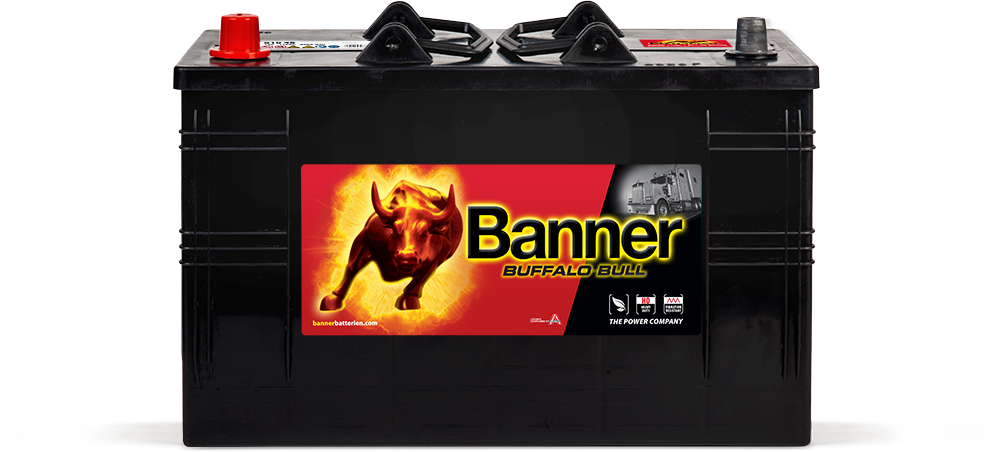 Banner Buffalo Bull, 12V 110Ah, 61048-image