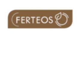 Ferteos IV-image
