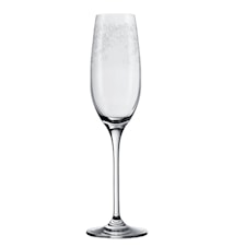 Iittala champagneglas