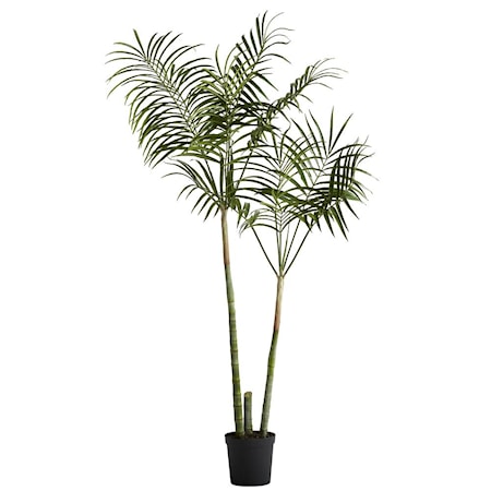Flora kentia palm H185 cm, Lene Bjerre