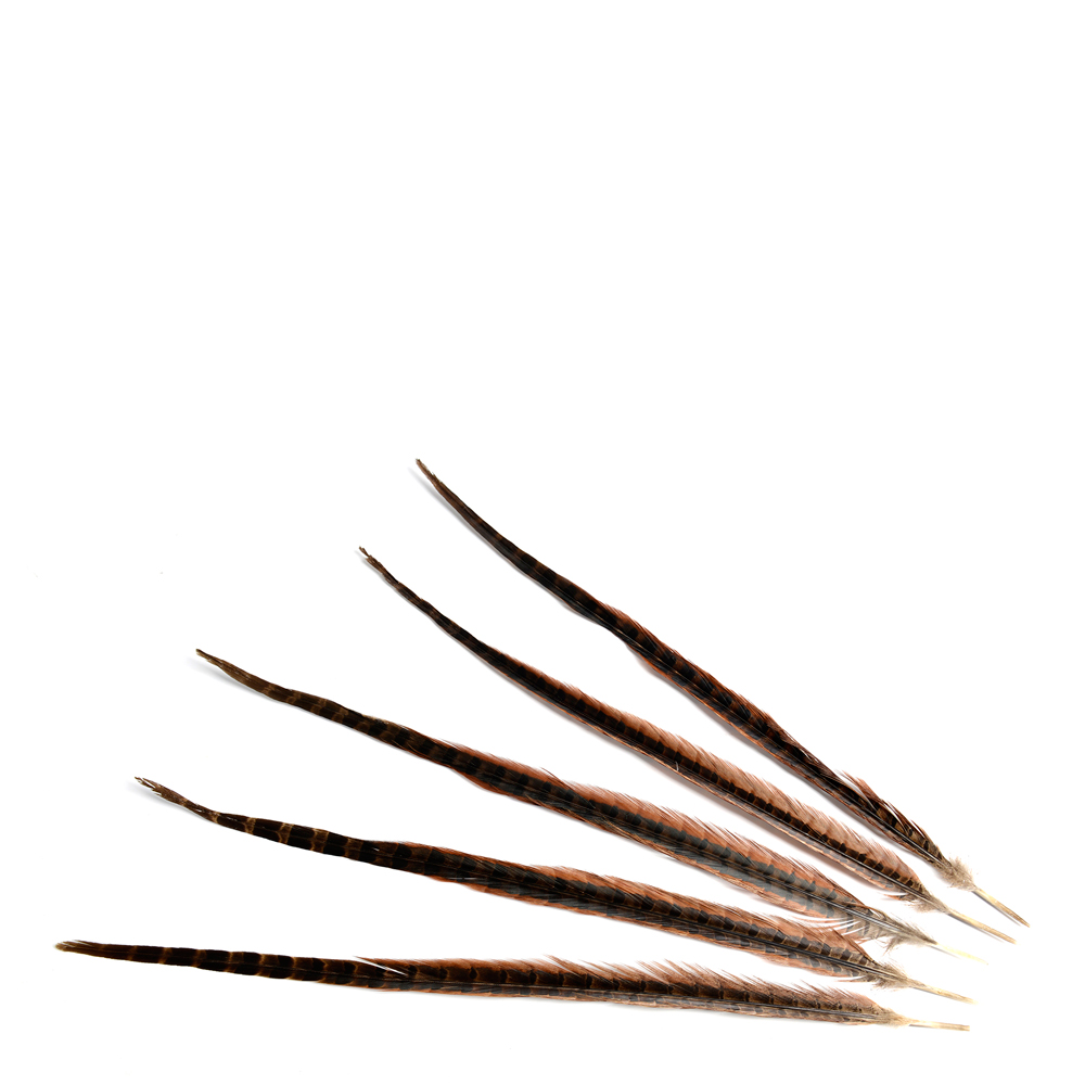 Feather Fj¿drar 55-60 cm 5-pack